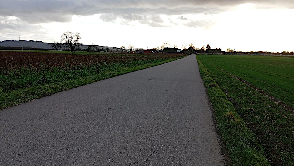 Rhein Bild 1