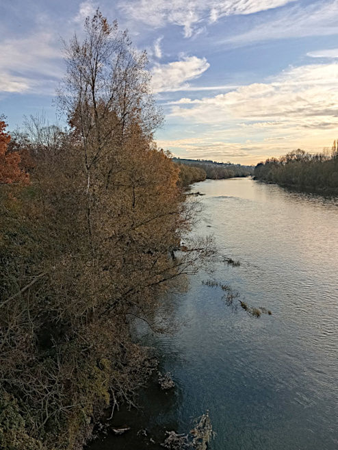 Rhein Bild 2