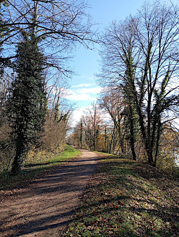 Rhein Bild 3