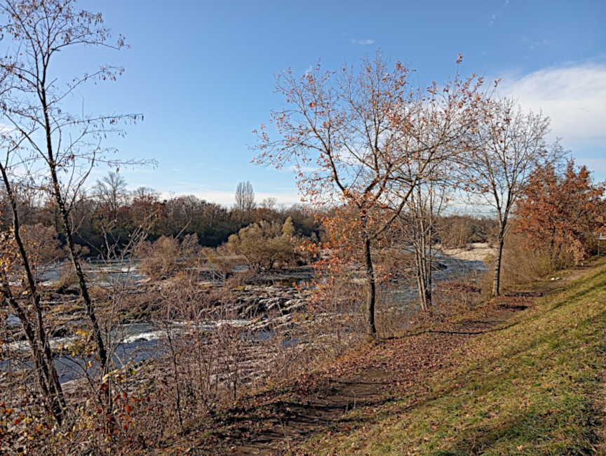 Rhein Bild 4