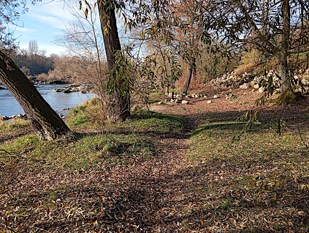 Rhein Bild 5