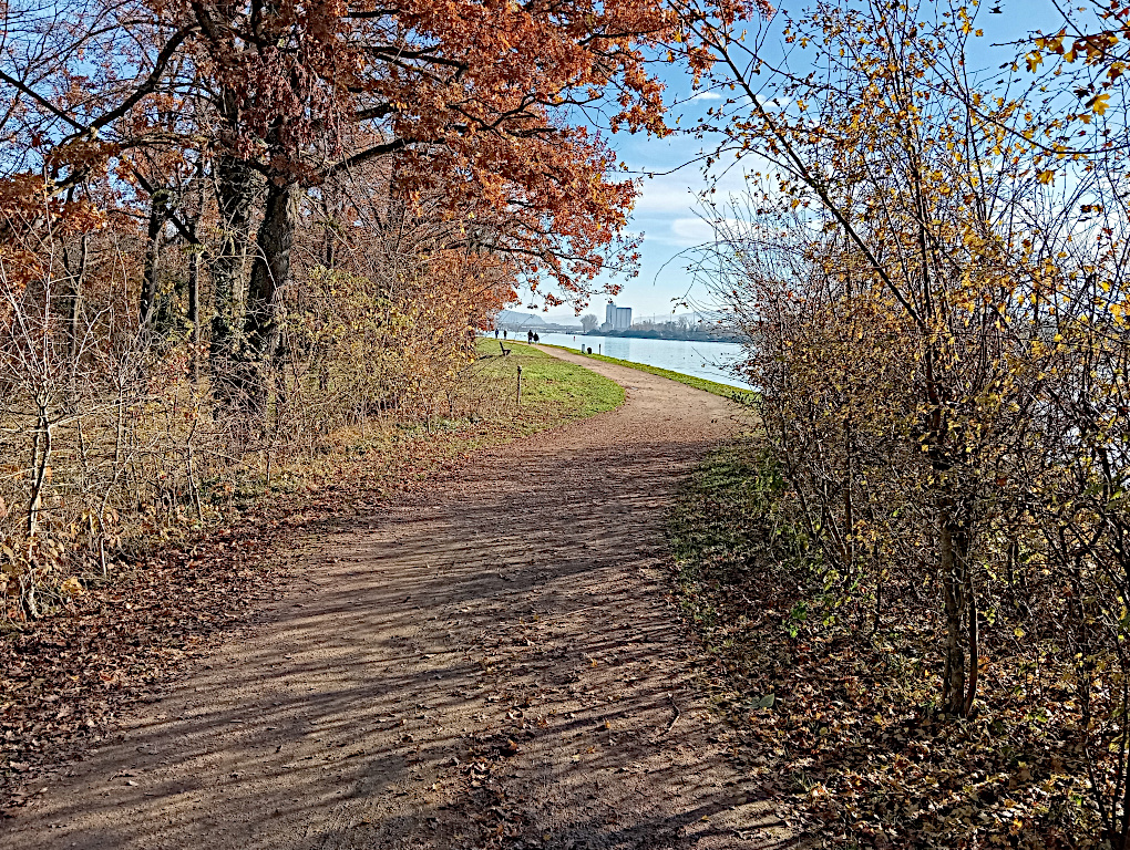 Rhein Bild 7