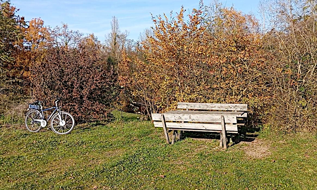 Rhein Bild 8