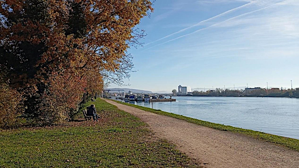 Rhein Bild 8